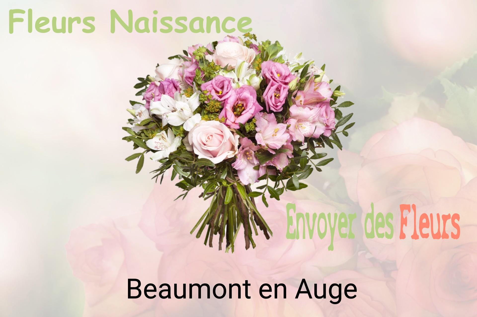 Bouquet de fleurs de naissance livré à Beaumont-en-Auge